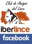 Facebook de Clube de Amigos do Lince Facebook de Clube de Amigos do Lince