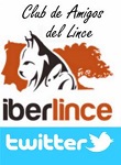 Twitter do Clube de Amigos do Lince Twitter do Clube de Amigos do Lince