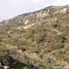 mrv_paisajes_001